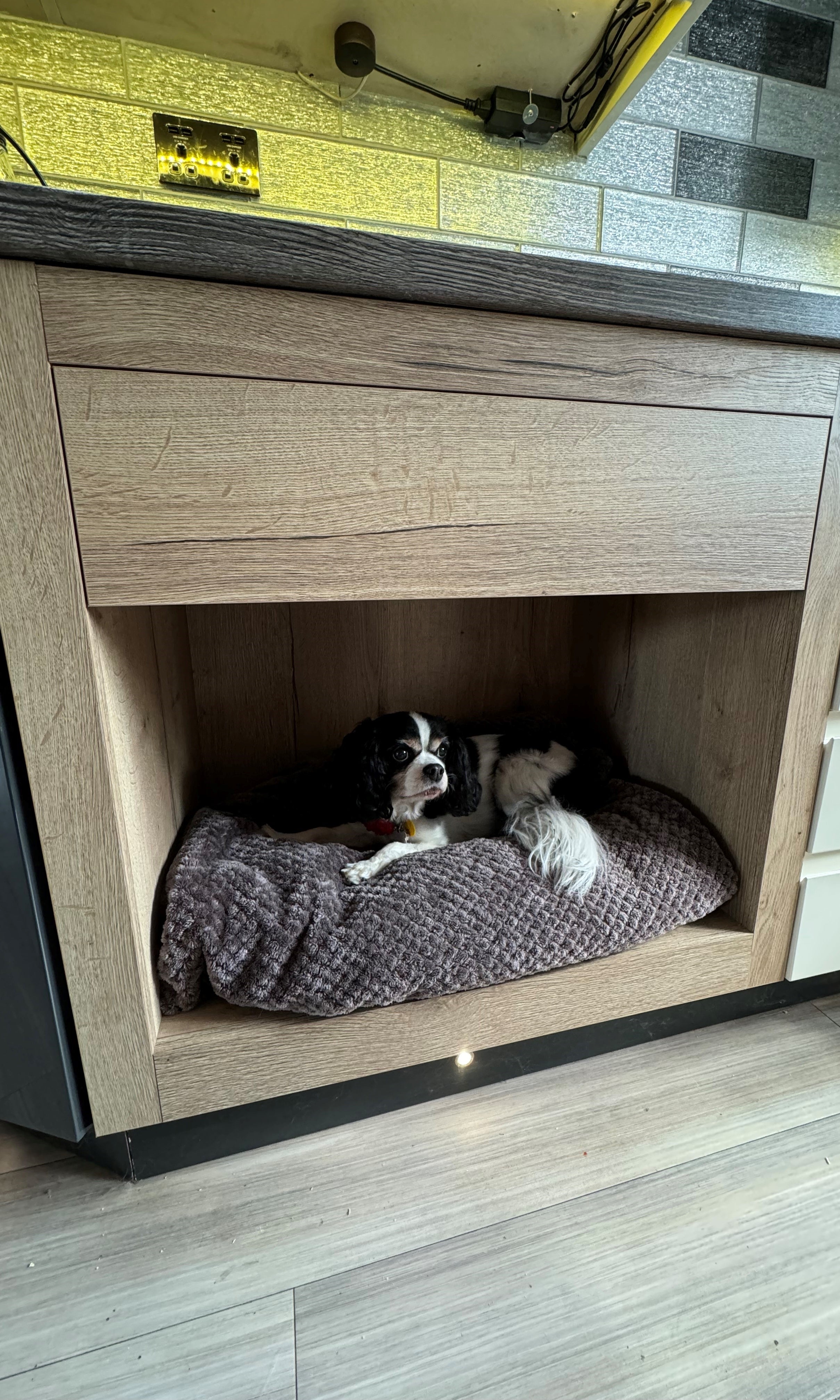 Integrated Kitchen Cabinet Dog Bed | DIY Flat Pack | Bespoke Look for Less | Aspin Collins