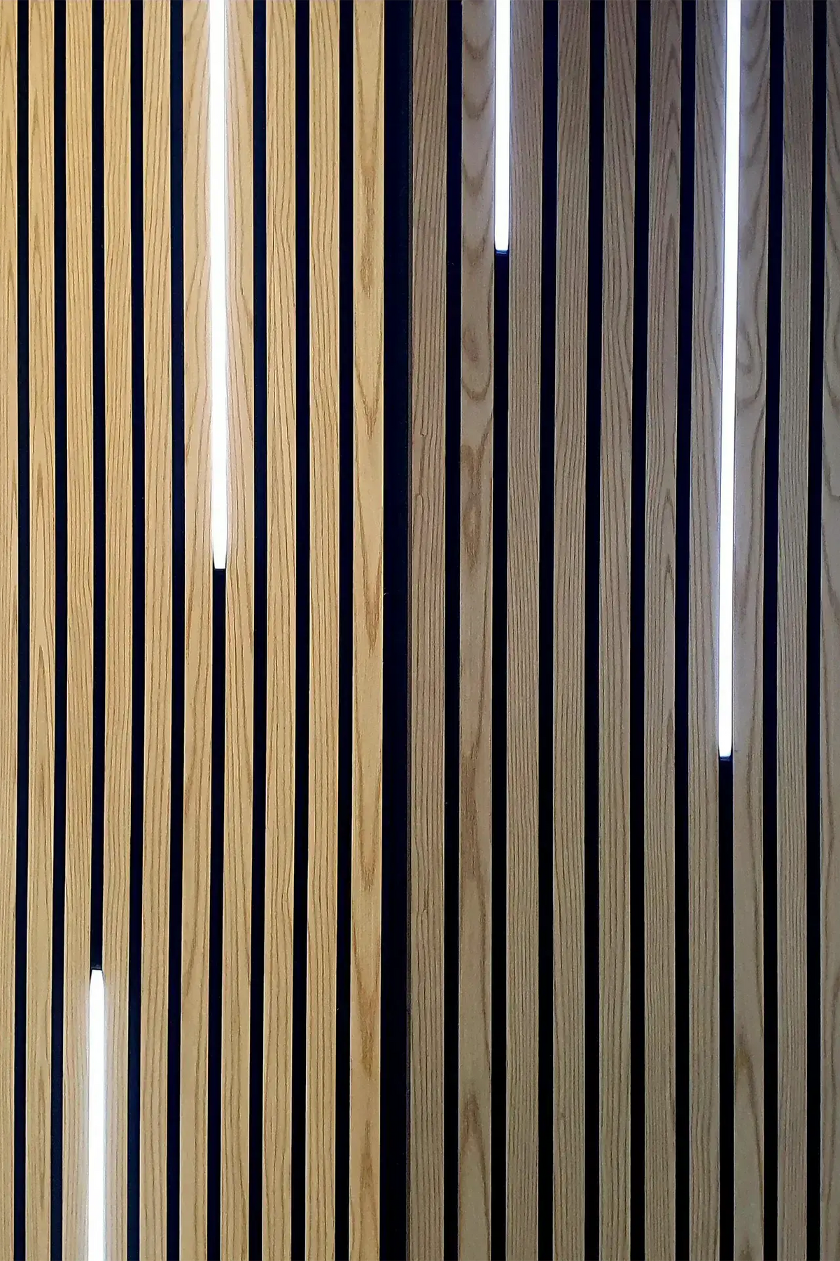 Acoustic Board Panel Lights – 2.4m Black Aluminium Profile with Transformer | Aspin Collins