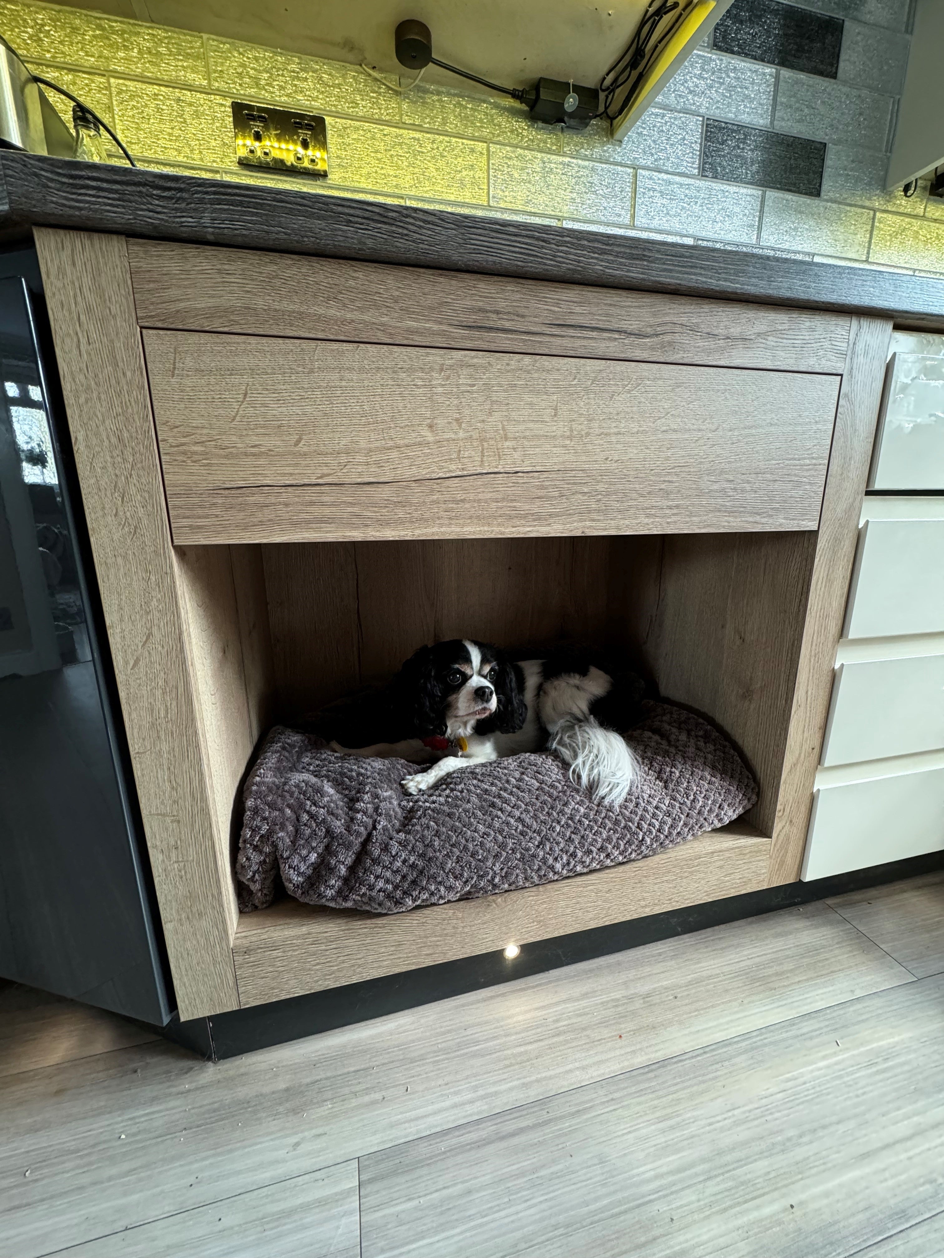 Integrated Kitchen Cabinet Dog Bed | DIY Flat Pack | Bespoke Look for Less | Aspin Collins